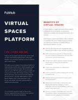 Virtual Spaces Solution Brief