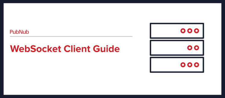 WebSocket Client Guide.png